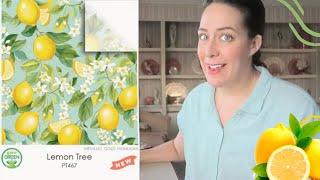Tissue Paper Reaction Video - Jillson & Roberts 2025 Catalog
