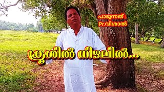 ക്രൂശിൽ നിഴലിൽ | Krooshil Nizhalil | Christian devotional songs | Vishal Sarigama | BIBLE WORLD TV