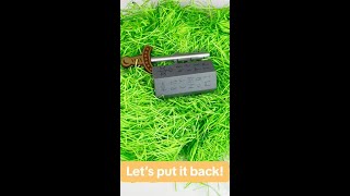 Sword In Stone Solve by Project Genius