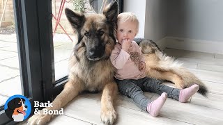 He Chose to Protect This Little Girl From Day One | Bark & Bond