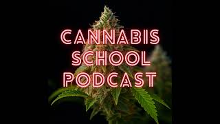 Next: Weed, Wisdom & Why We Swear