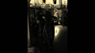Tango dancing в Циферблате (2013-11-15)