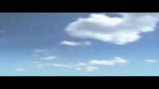 Funny cartoons