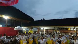 Rejang sari