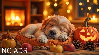 ☆ Puppy Sleeping Music ♫ ☆ RELAXING MUSIC ☆ Sleep music for dogs ♫ Calm Dog
