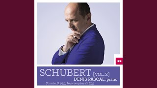 4 Impromptus, Op. 90: Impromptu No. 1 en Ut Mineur (Allegro molto moderato)