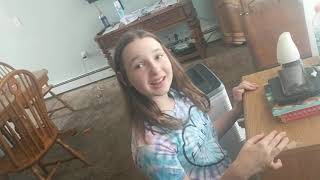 My Disney adorables are gone 🤨