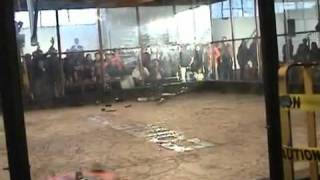 Awesome Robot Fight : Megabyte vs. Brutality