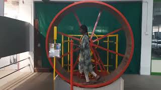 ஆற்றல் உருளை - Energee Wheel