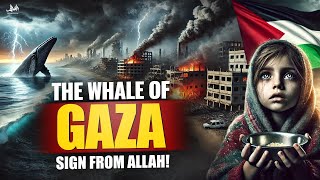 A SIGN FROM ALLAH THAT VICTORY IS NEAR!