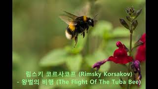 림스키 코르사코프 (Rimsky Korsakov) -  왕벌의 비행 (The Flight Of The Tuba Bee)