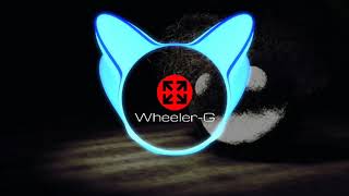 TOP BEST HITS EDM - Electro House Festival Music Mix 2020 [Wheeler-G]