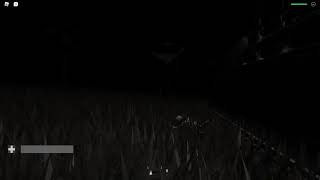 Dryft Stim Live Stream