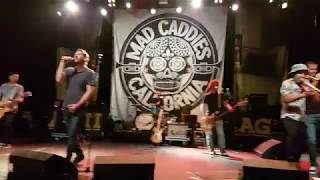 Mad Caddies - Drinking For 11 Live