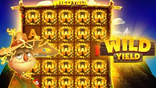 GOING BACK TO WILD YIELD AFTER LONG TIME |  LET'S SEE HOW ITS TREAT US ! ||CASINO SPARTAN