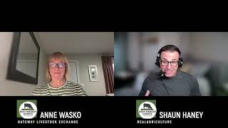 Beef Market Update: Firm fed prices, lean trim talk, and the spectre of drought