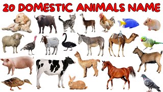 Domestic Animal Names in Hindi & English | पालतू जानवरों के नाम 🐄🐕🐓Farm Animals & Pet Names for Kids