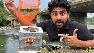 Aaj Hame Bahot Unique Catfish Mili 🎣#riverfishing