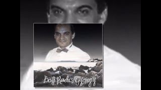 Bofi Radics György-Remélem mindent megbocsájt