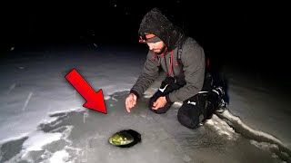 Fishing Ultra Thin FIRST ICE For BIG Walleye! (Wisconsin Early Ice)