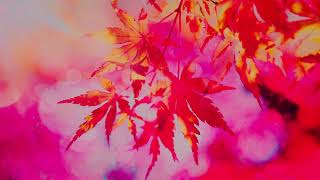 Relax music. Tenderness. Peaceful