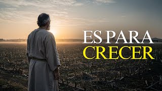 Lo Que Estás Perdiendo No Es Casualidad: Dios Te Está Podando