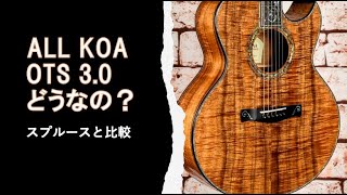 硬くない ALL KOA チェックしてください。SJ09-C 5A KOA
