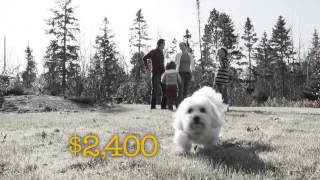 Credit Union - Home
