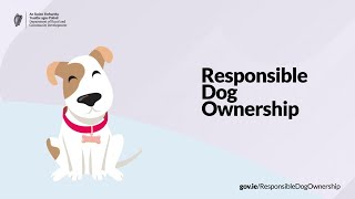 Responsible Dog Ownership