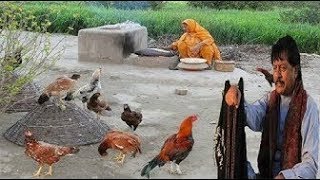 Mawan thndian chawan by Attaullah khan Esakhelvi ماواں ٹھنڈیاں چھاواں