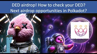 DED airdrop! | How to check your DED on Subwallet? | Next airdrop opportunities in Polkadot?