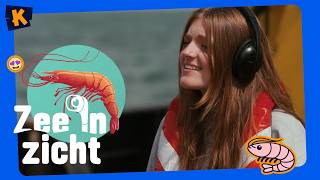 Underwater Sound | Sea in Sight | Series 1 | Episode 3