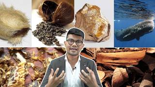 Perfume Muntah Paus dan Kasturi Kijang