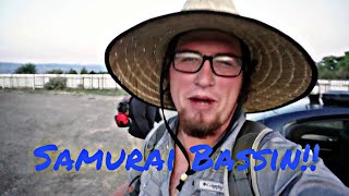Ned rig catches Walleye? + Where have I been??