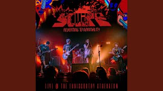 Dropzone ( Live @ The Enniscorthy Athenaeum , 2026)