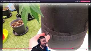 MrWeedMaker Realitätsverlust am schieben, reagiere auf sein 30ger Brett