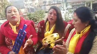 नारायणटारमा बबाल दोहोरी गीत। Sabitri GautamVs. Bindash Shrestha Live Dohori Song