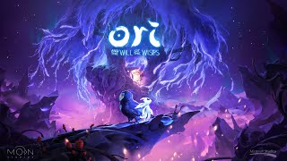Ori and the Will of the Wisps - RTX 2060 Super - i5 8400