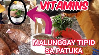Day 12 Paano Gumawa Ng Pagkain Ng Manok Gamit Ang Malunggay