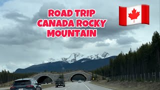 Road Trip Through the Canadian Rockies Banff , Calgary , Edmonton