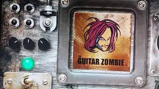A clip from Gitarrzombiens Blog/Conny Bloom