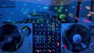 RoMinimal Tech Micro Minimal Deep House Vinyl Mix | Underground Vibez Live 2021.12.18