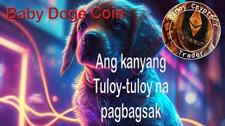 Ang Tuloy-tuloy na Pagbagsak ni Baby Doge Coin