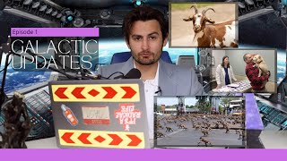 Animals Amok Across the World
