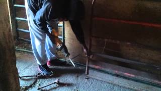 Phil on the Farm - Phil cuts Metal