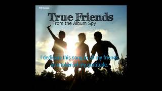 DJ Iceman - True Friends