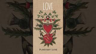 Planetary Love | "Love" | St. Sinner Orchestra | Grand Rapids, MI