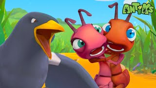 Trick Shot Trouble 🎯| ANTIKS | Moonbug Kids - Funny Cartoons and Animation