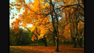 Antonio Vivaldi Concerto in F major Allegro Autumn [HD]