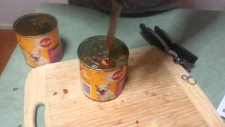 Attempting to open dog food